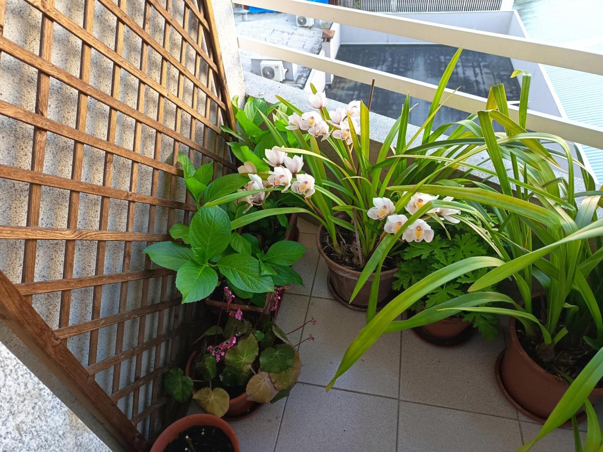 Vivienda Caseiro Orense Kültér fotó