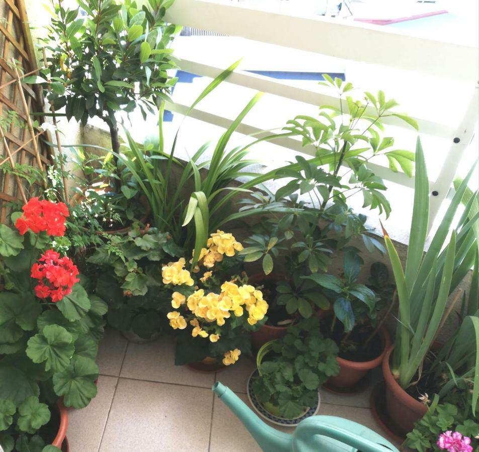 Vivienda Caseiro Orense Kültér fotó